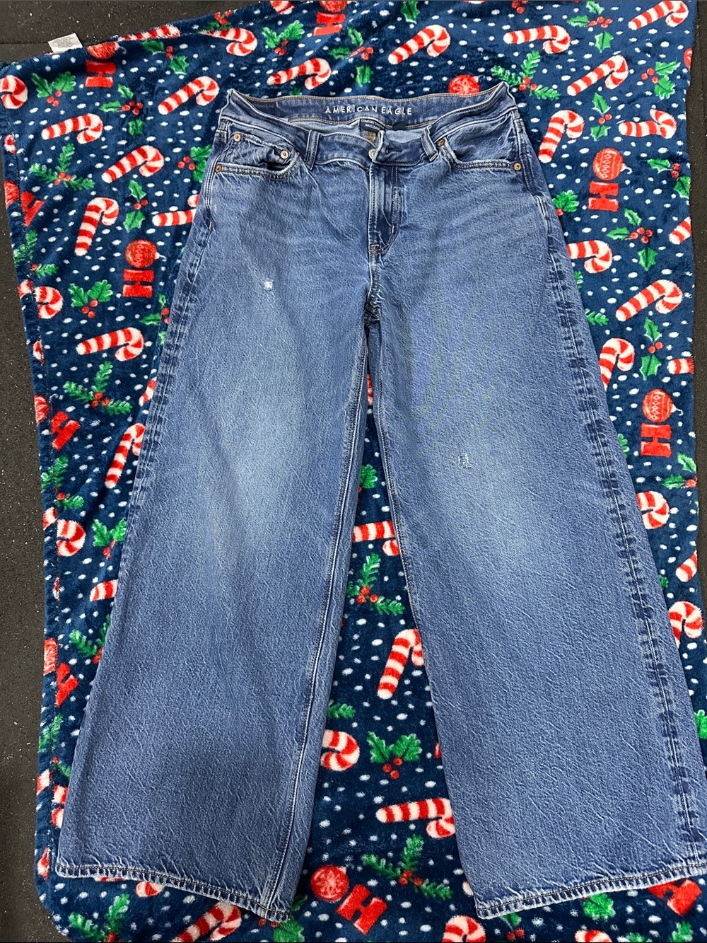 American Eagle low rise baggy wide leg jeans 4 short